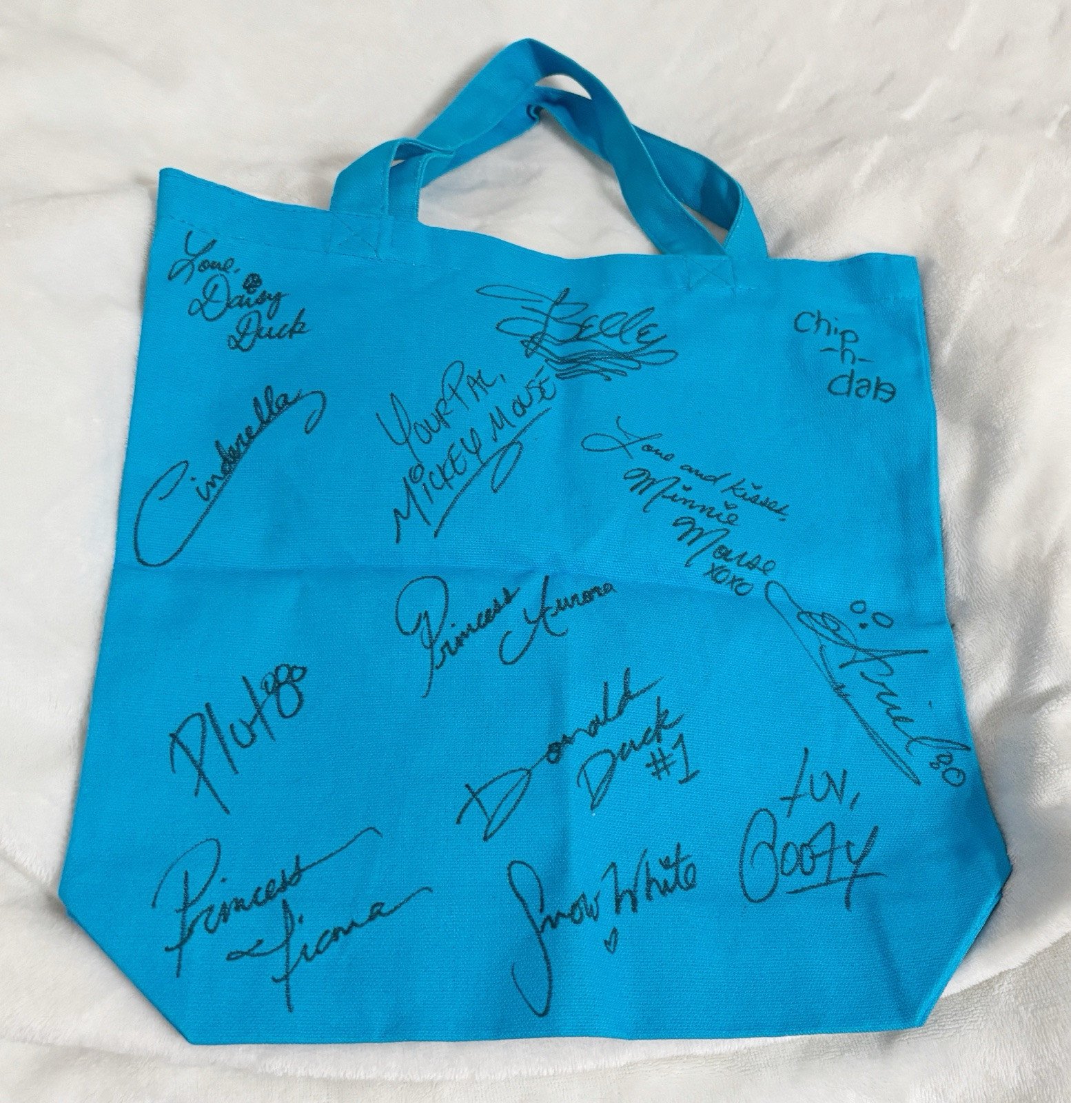 Disney Cruise Line DCL, Thirteen 13 Character Autograph Small Blue Tote Bag