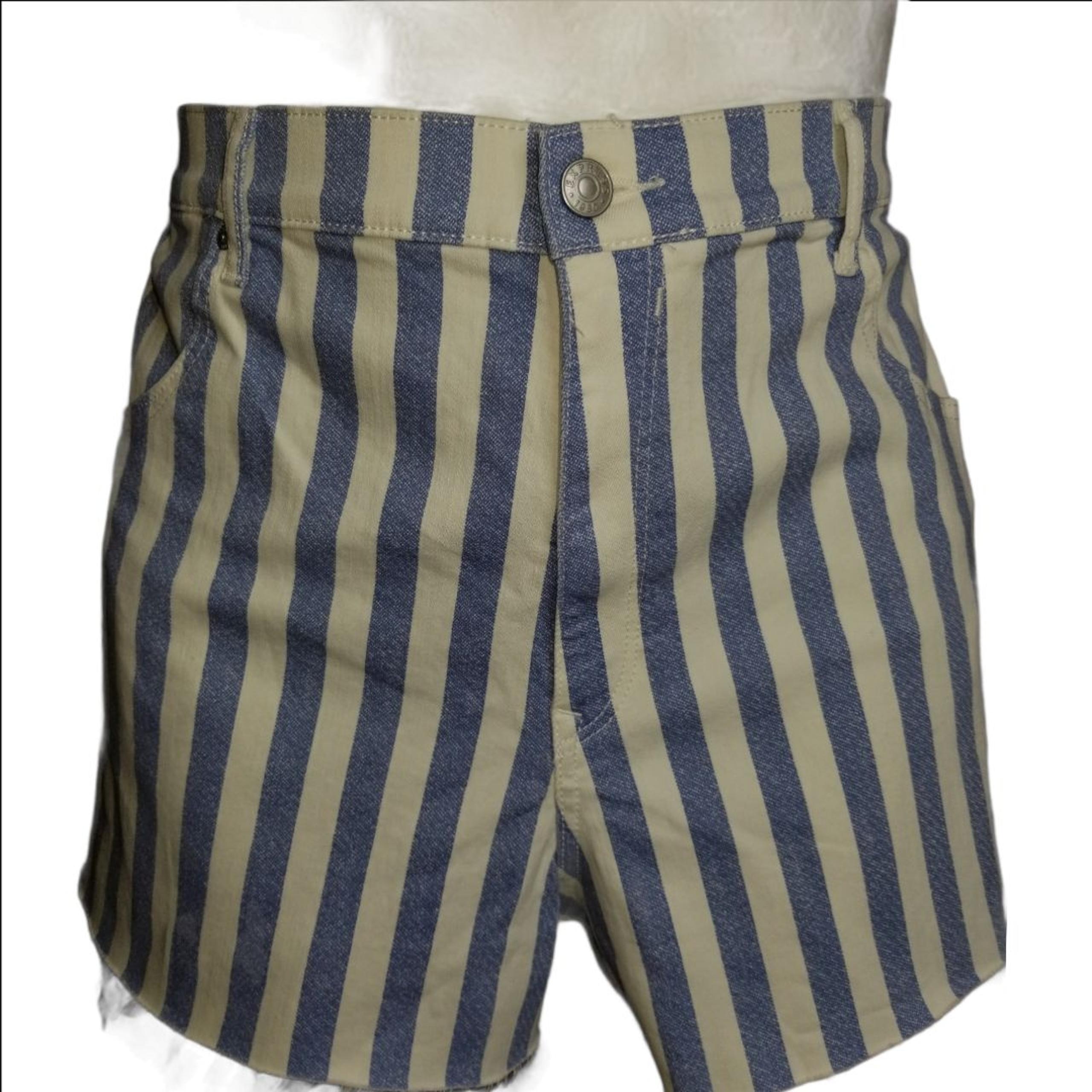 Express Blue Striped Mom Shorts Size 18
