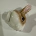 Bunny Fitz &Floyd Teapot