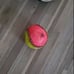 Softball Equipment
