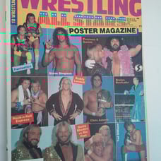 Wrestling All Stars Poster Magazine # 5 Ric Flair Brutus Beefcake Steve Simpson