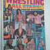 Wrestling All Stars Poster Magazine # 5 Ric Flair Brutus Beefcake Steve Simpson