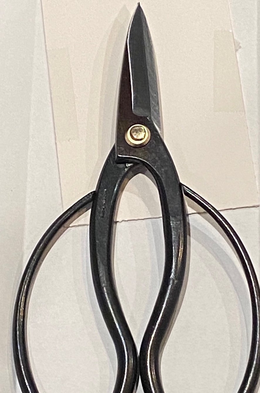 Scissors 6”- 7” precision indoor tool