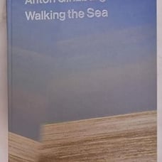 Anton Ginzburg: Walking the Sea