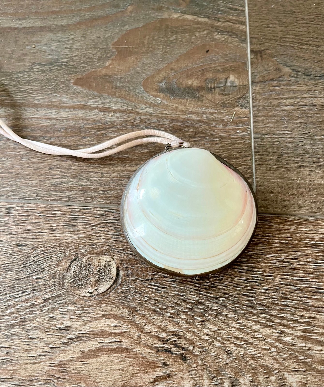 Cream Shell Pendant Necklace