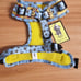 Winnie the Poog Dog Harness