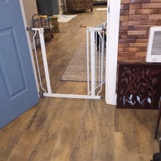 Dog cage