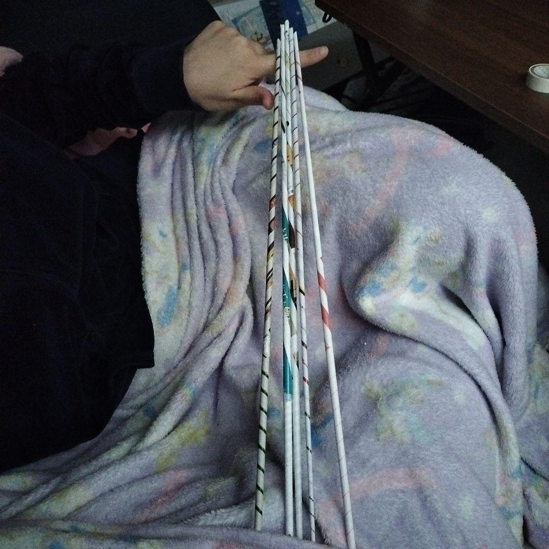 That rolled-up thing that looks like a flyer.