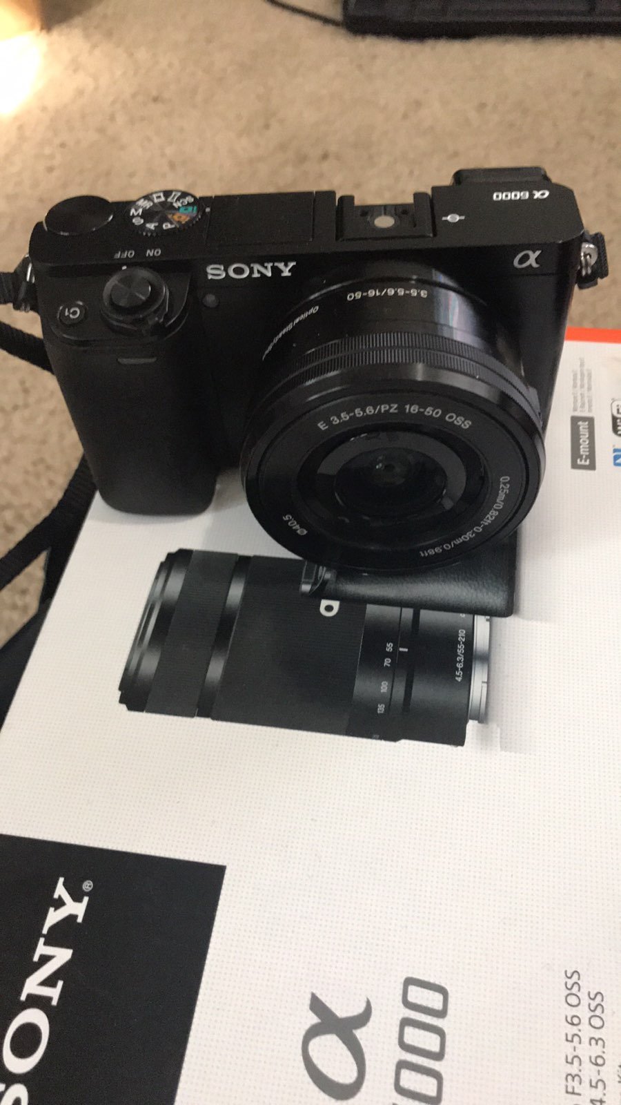 Sony Alpha a6000 Mirrorless Camera Two L