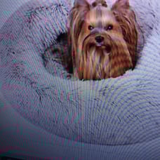 Friends Forever Donut Cat Bed, Faux Fur Dog Beds for Medium Small Dogs NEW TAGS