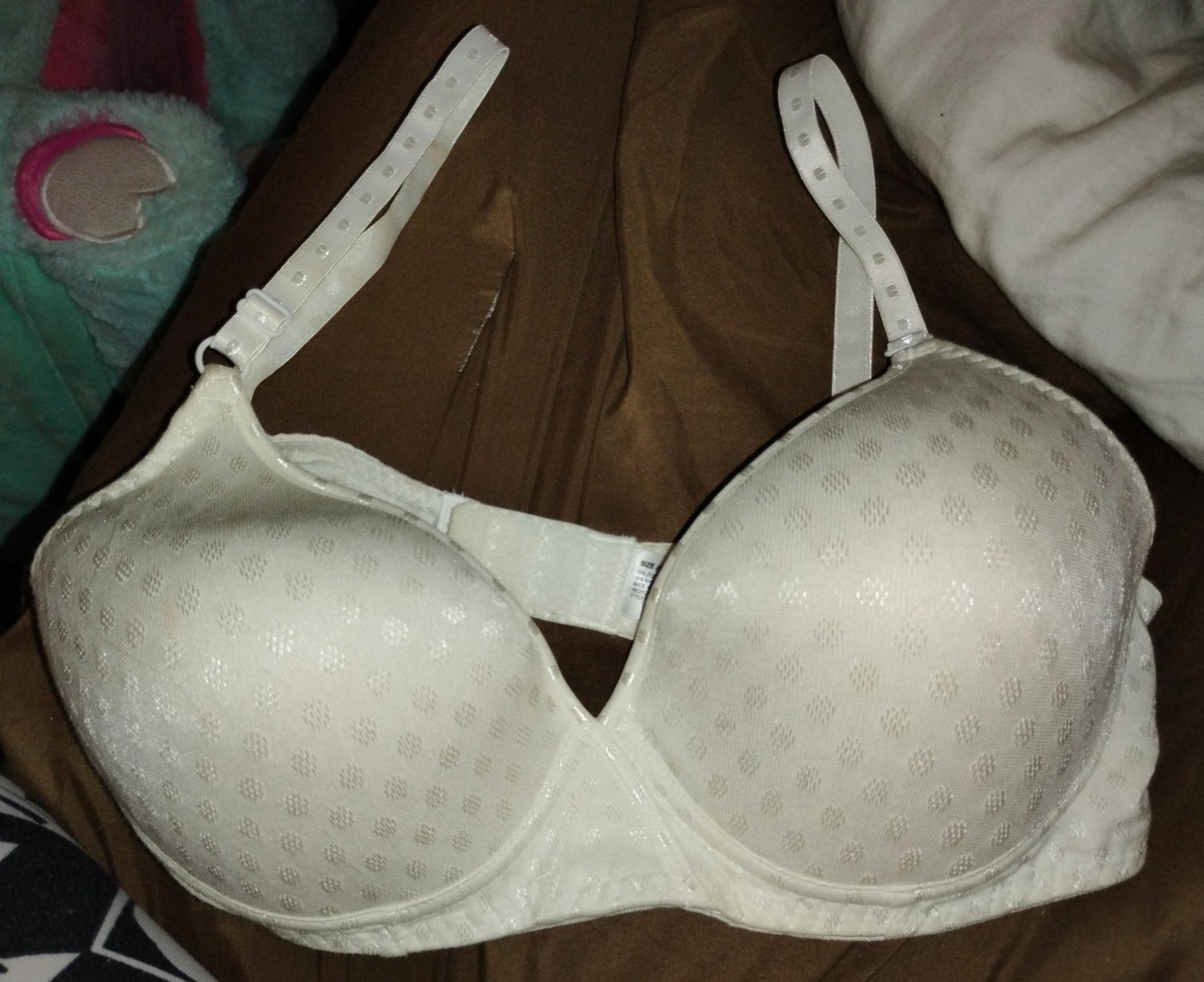 Fruit of the loom brand women's size 36c white/shiny white polka dot bra