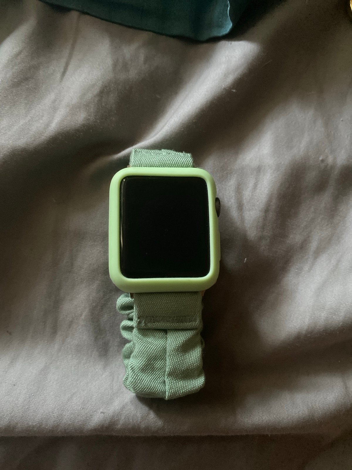 Apple Watch Series 3
