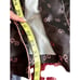 Disney Minnie Mouse Robe with Bow Print, Loungewear from Disney, Sz Small, NWOT