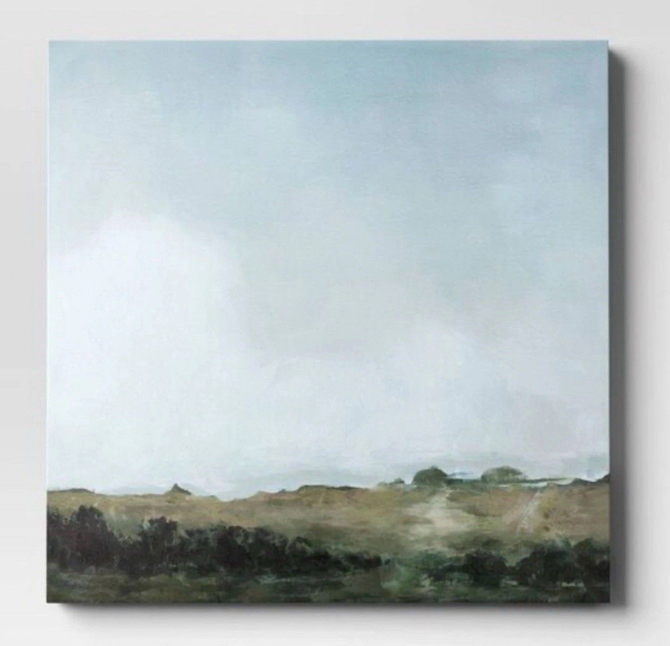 32" X 32" Calming Field Unframed Wall Canvas - Threshold NEW