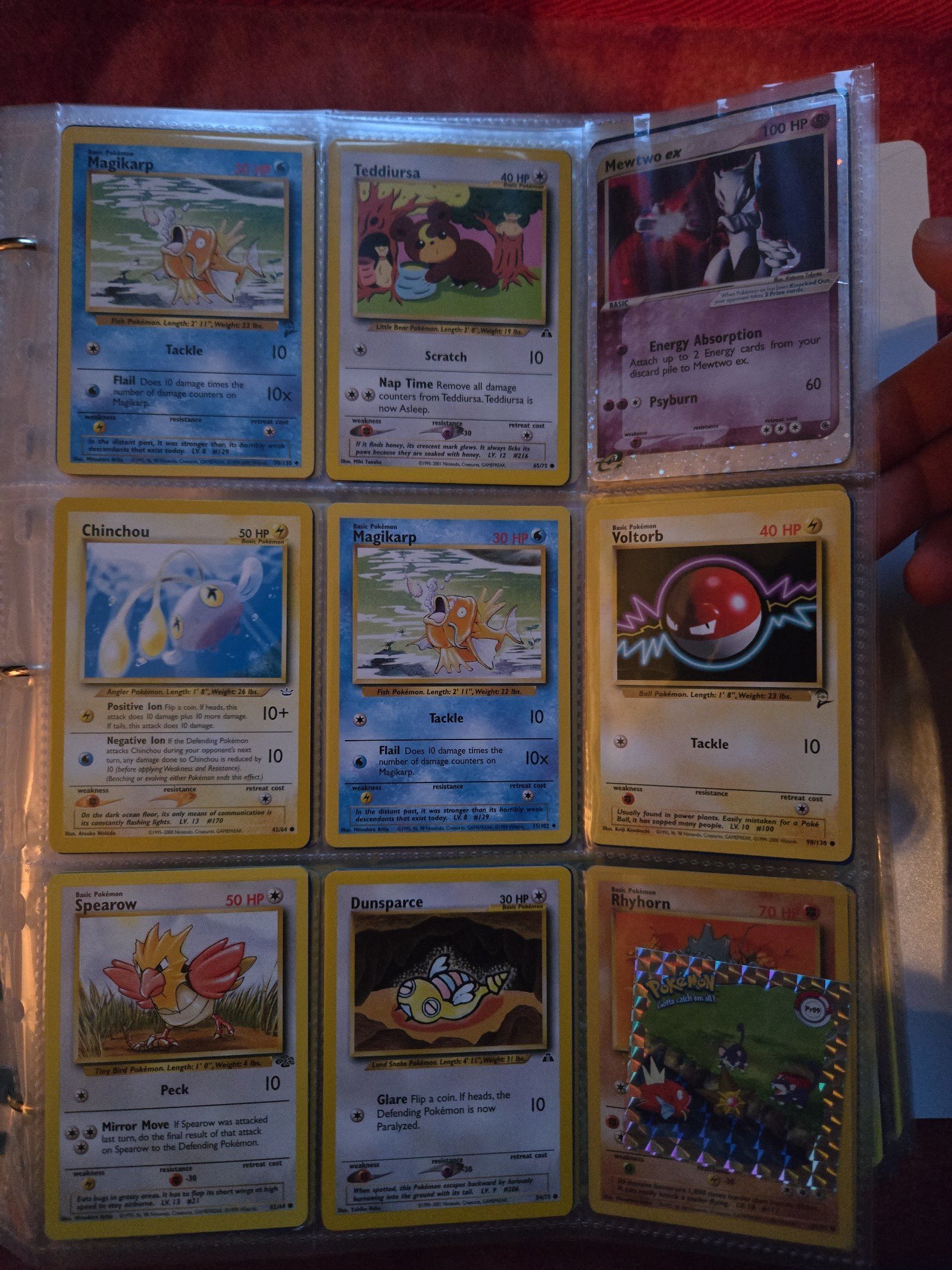 Siblings childhood pokemon card collection binder bundle lot
