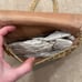 Delill Vintage Made in Italy Gold Purse