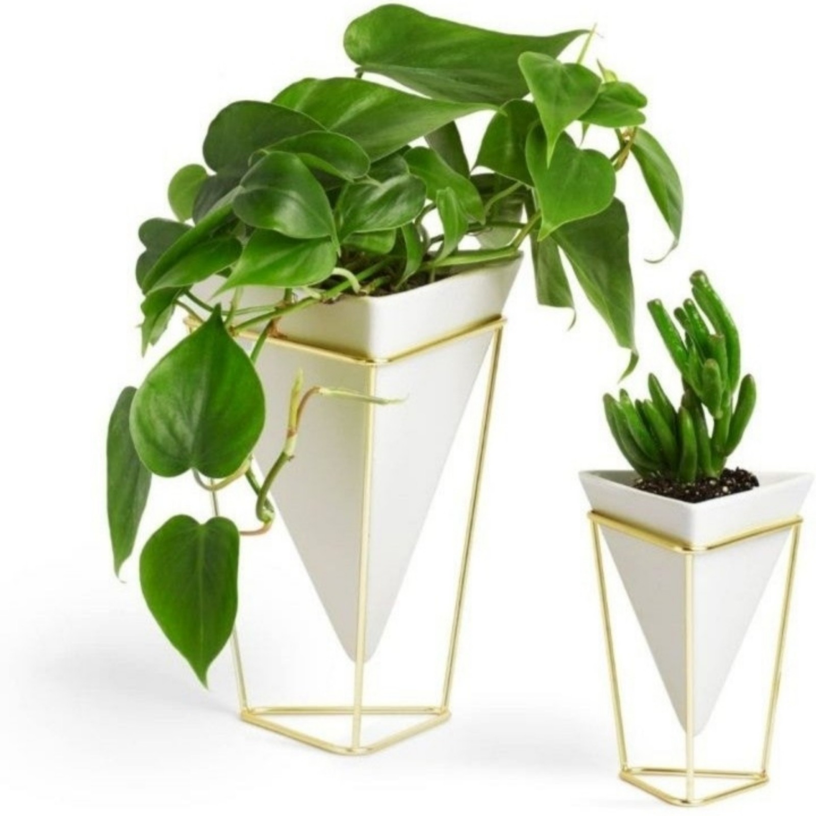 Bundle extravaganza umbra planters (X4)