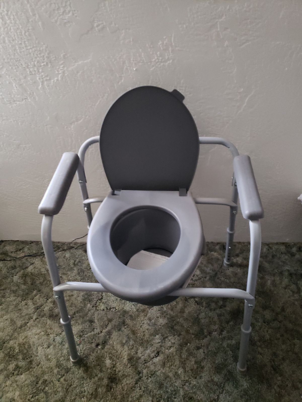 Bedside Toilet