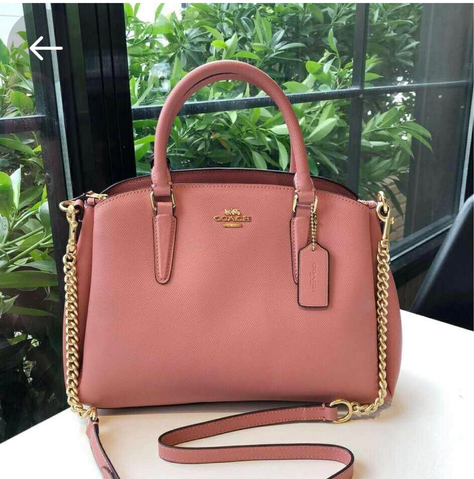 NWT COACH SAGE CARRYALL DUSTY ROSE/SILVER