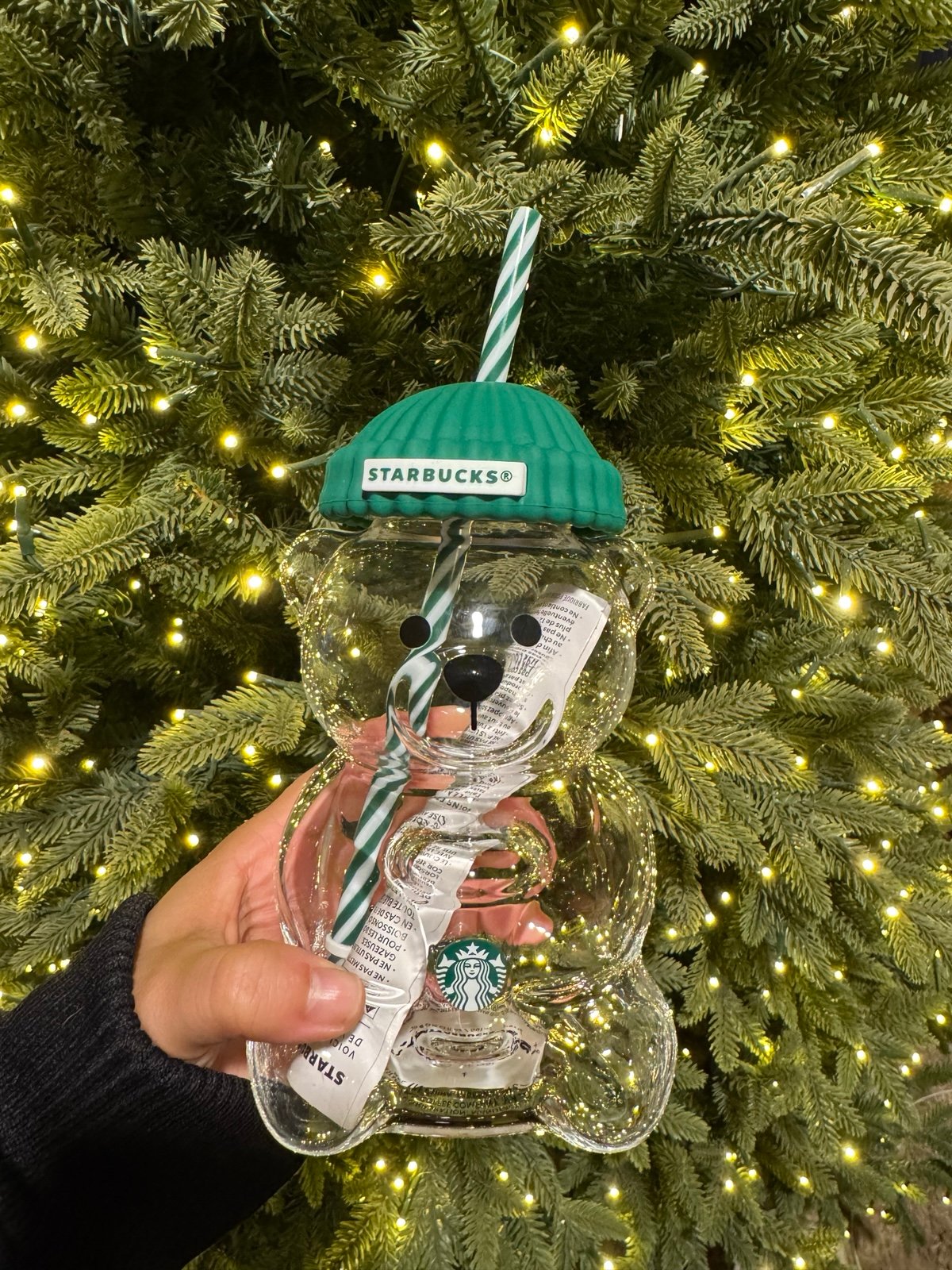 Starbucks Bearista Bear Cup