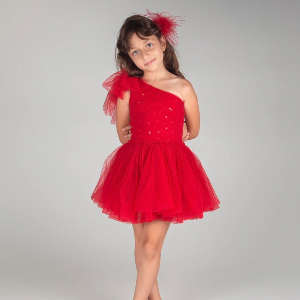 Marais Sky angel on my shoulder tutu dress- rogue