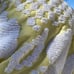 Vintage Chenille Pastel Yellow & White, Textured Fringe Bed Spread, Boho Blanket
