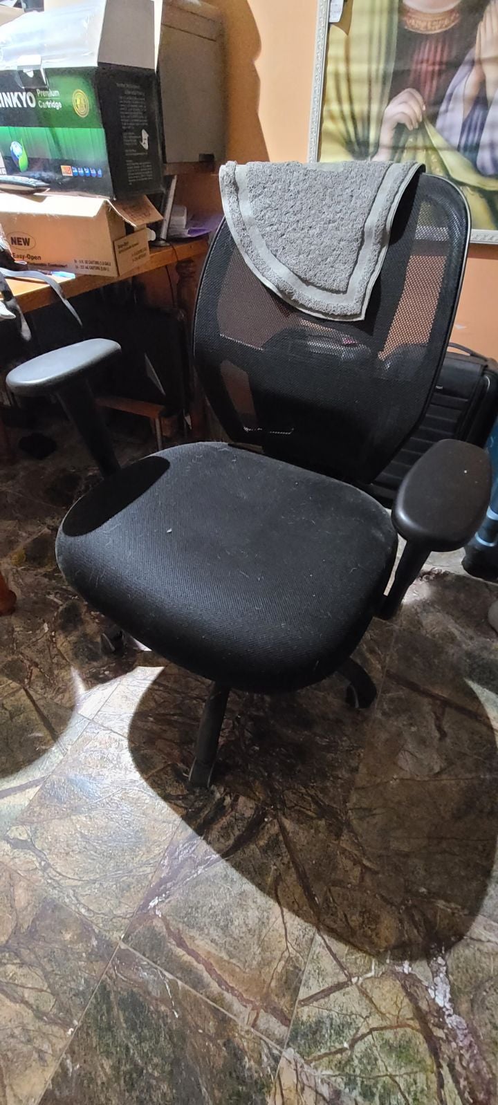 Computer/Office Chair