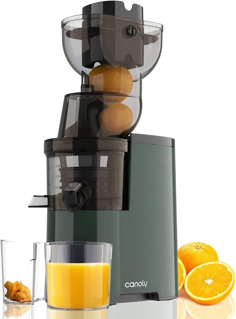 Masticating Juicer, 250W Professional Slow Juicer with 3.5-inch Large Feed Chute