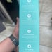 BlendJet 2 Portable Blender - Mint