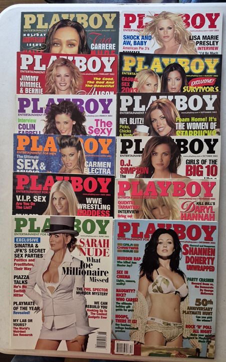 Vintage Playboy Magazines 2003 Complete Set Lot of 12 Issues