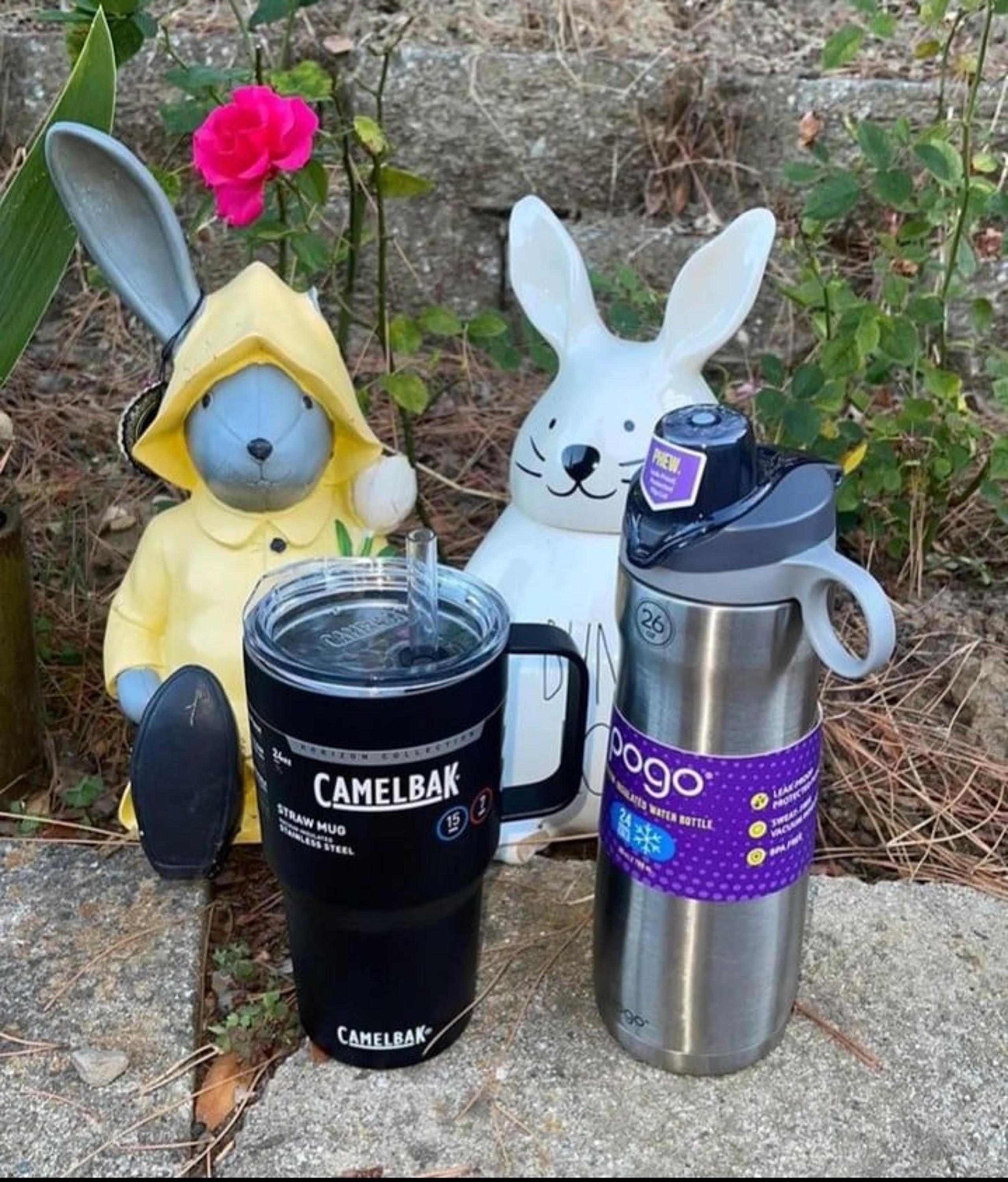 CamelBak/pogo stainless steel bundle