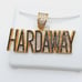 14K Gold Plated Cubic Zircon Pendant, EVBRS546