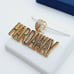 14K Gold Plated Cubic Zircon Pendant, EVBRS546