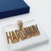 14K Gold Plated Cubic Zircon Pendant, EVBRS546