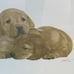 John Weiss (2) Framed Signed Cute Puppies ART