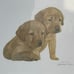 John Weiss (2) Framed Signed Cute Puppies ART