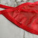 Plus Size Red Lace Lingerie Set size 1X