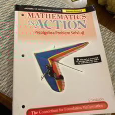 Mathematics In Action Book