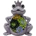 Solar Garden Statue, Resin Frog Ornament with Succulent and 4 LED Lights