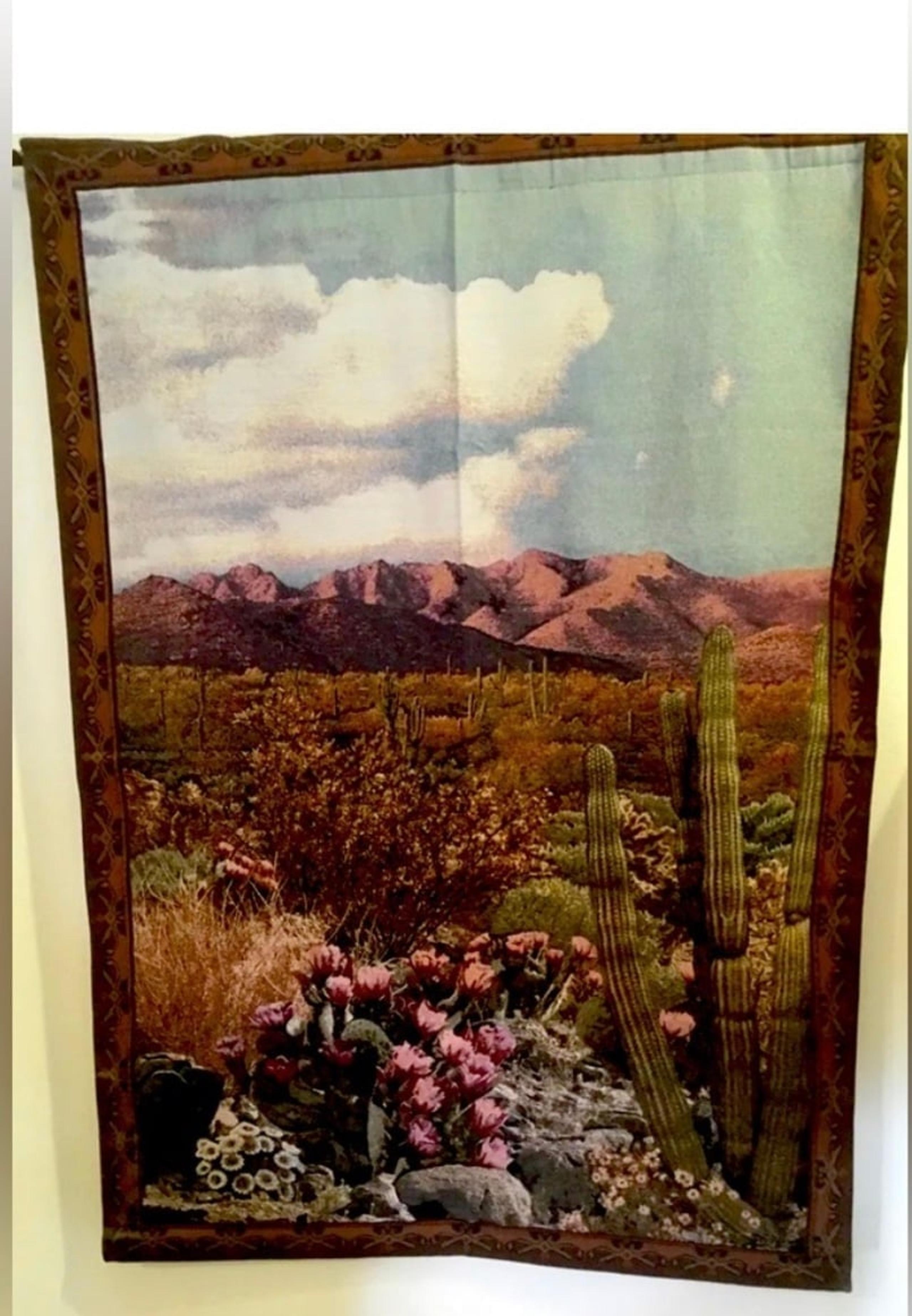 MOHAWK HOME Arizona Mornings Tapestry Wall Art Hanging NWOT! 54x80 inch