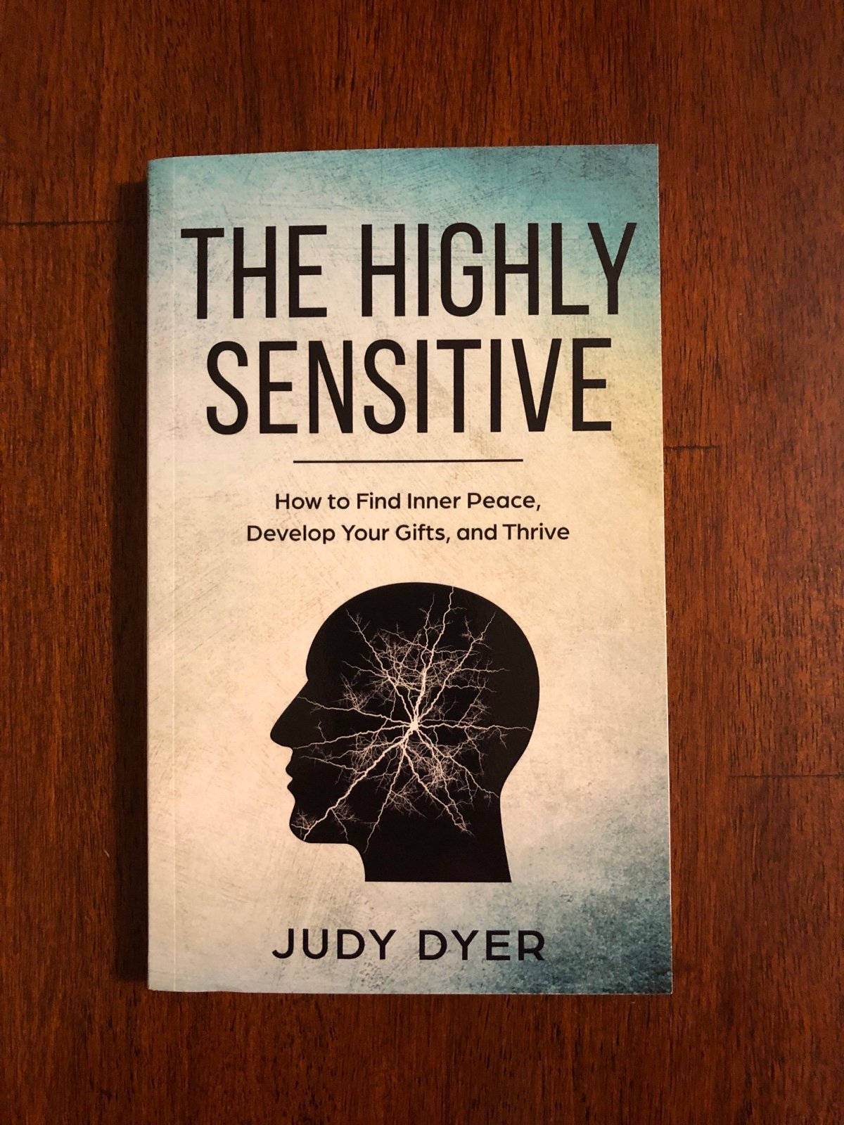 Book - THE HIGHLY SENSITIVE - How To Find Inner Peace, Develop Your Gifts...NEW!