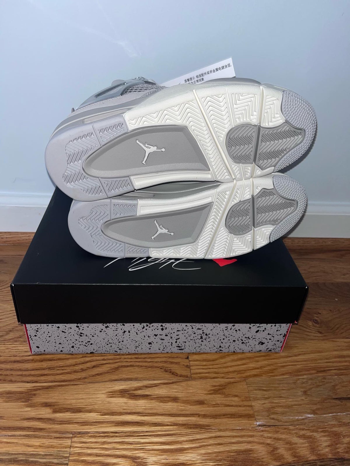 Jordan4 retro frozen moments women’s
