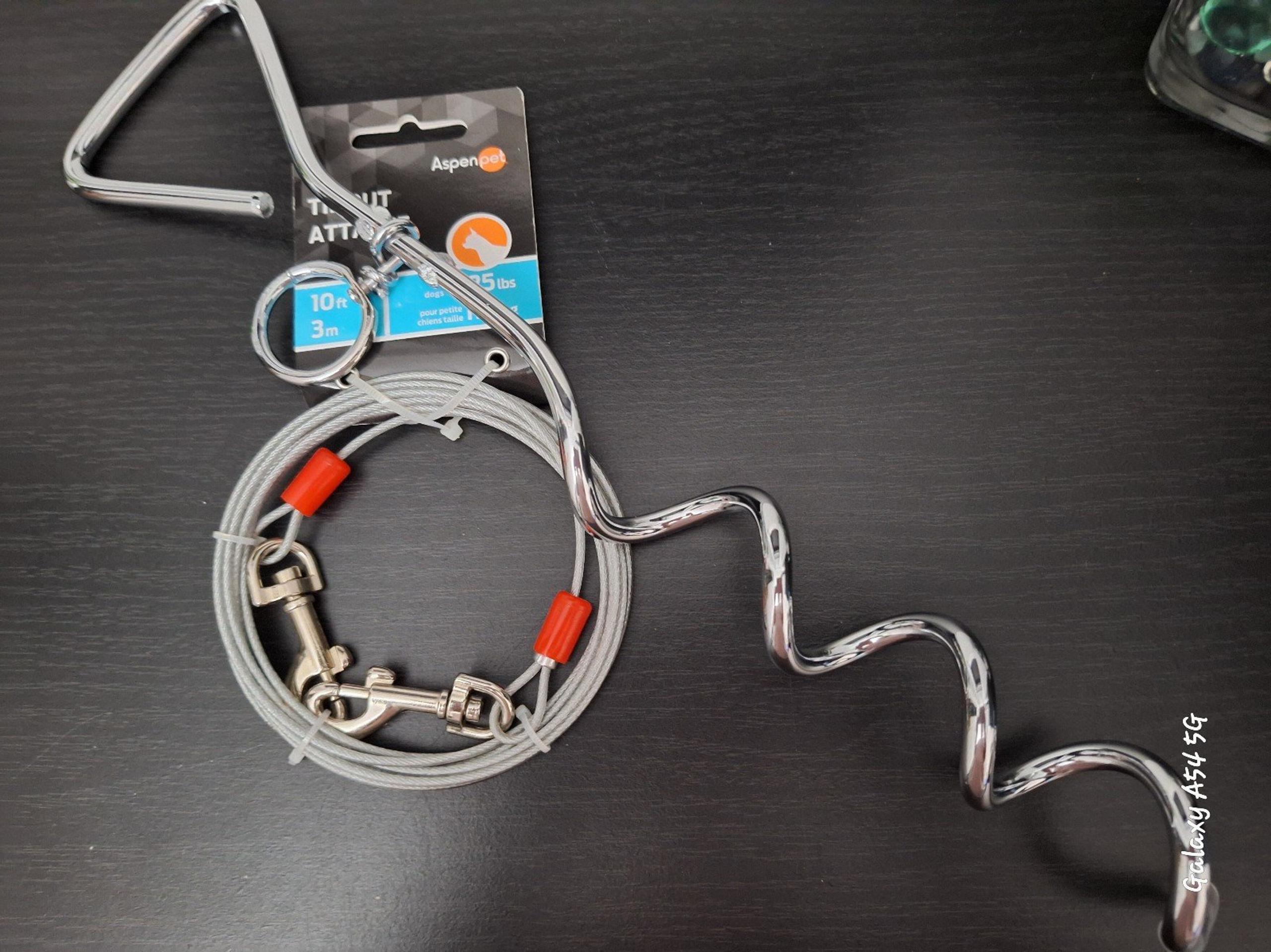 Tie out Stake and Chain
