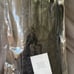 Coach leather gloves for women 6.5