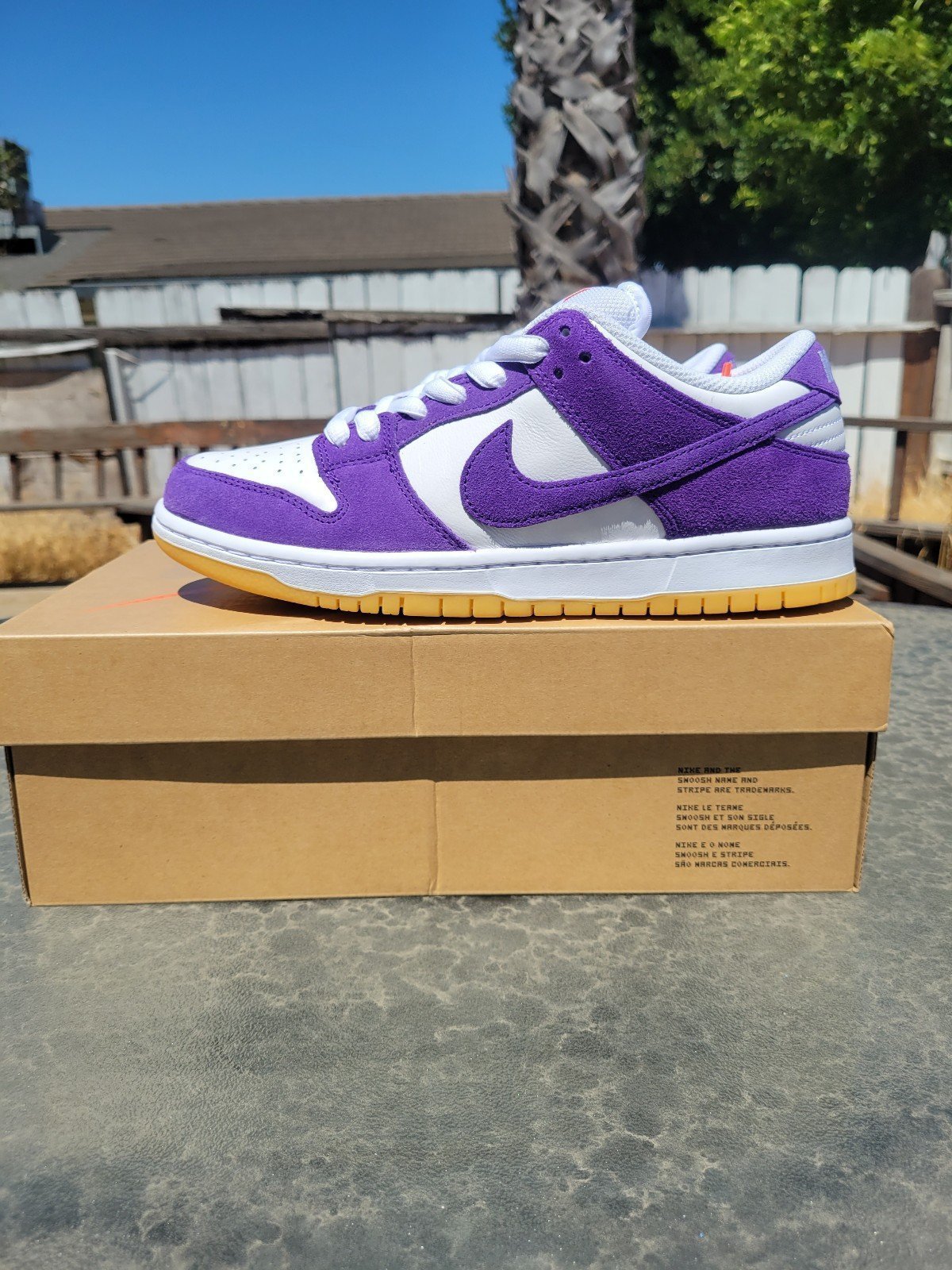 Nike Dunk low SB purple