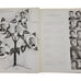 The Cotton Boll 1942 School Yearbook | Embossed Hardcover | Vintage Collectible