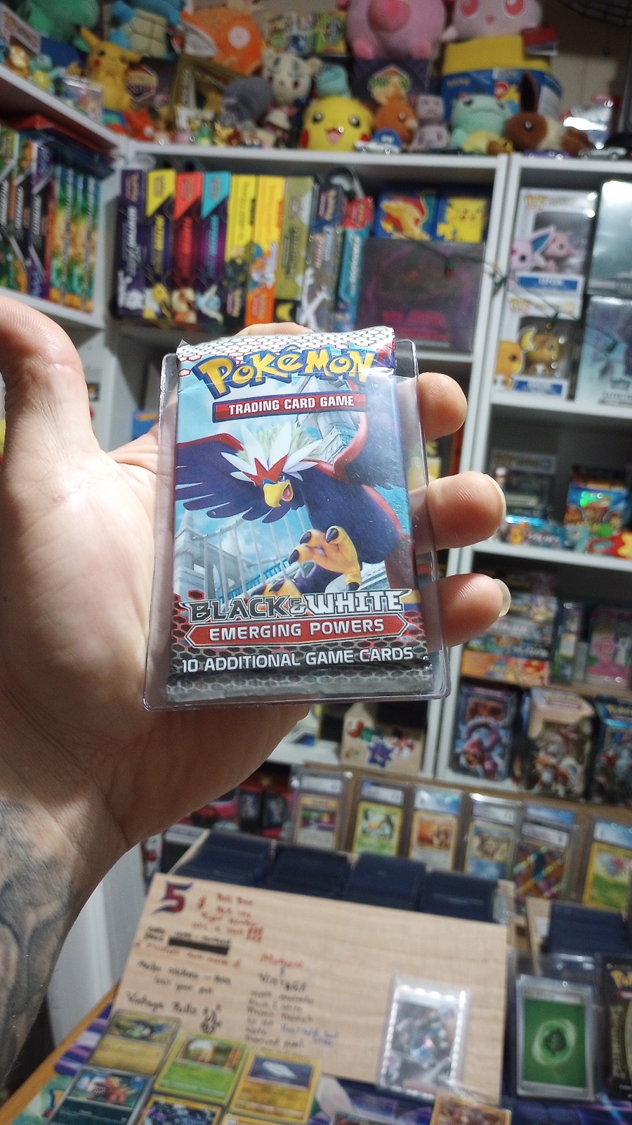 Pokémon Black and White Emerging Powers Bravairy artwork