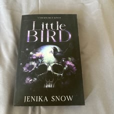 Little Bird by Jenika Snow