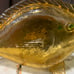 Vintage Mcm Italian Murano/Empoli Amber Crackle Glass Orvieto Wine Fish Decanter