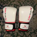 HIT N MOVE boxing gloves